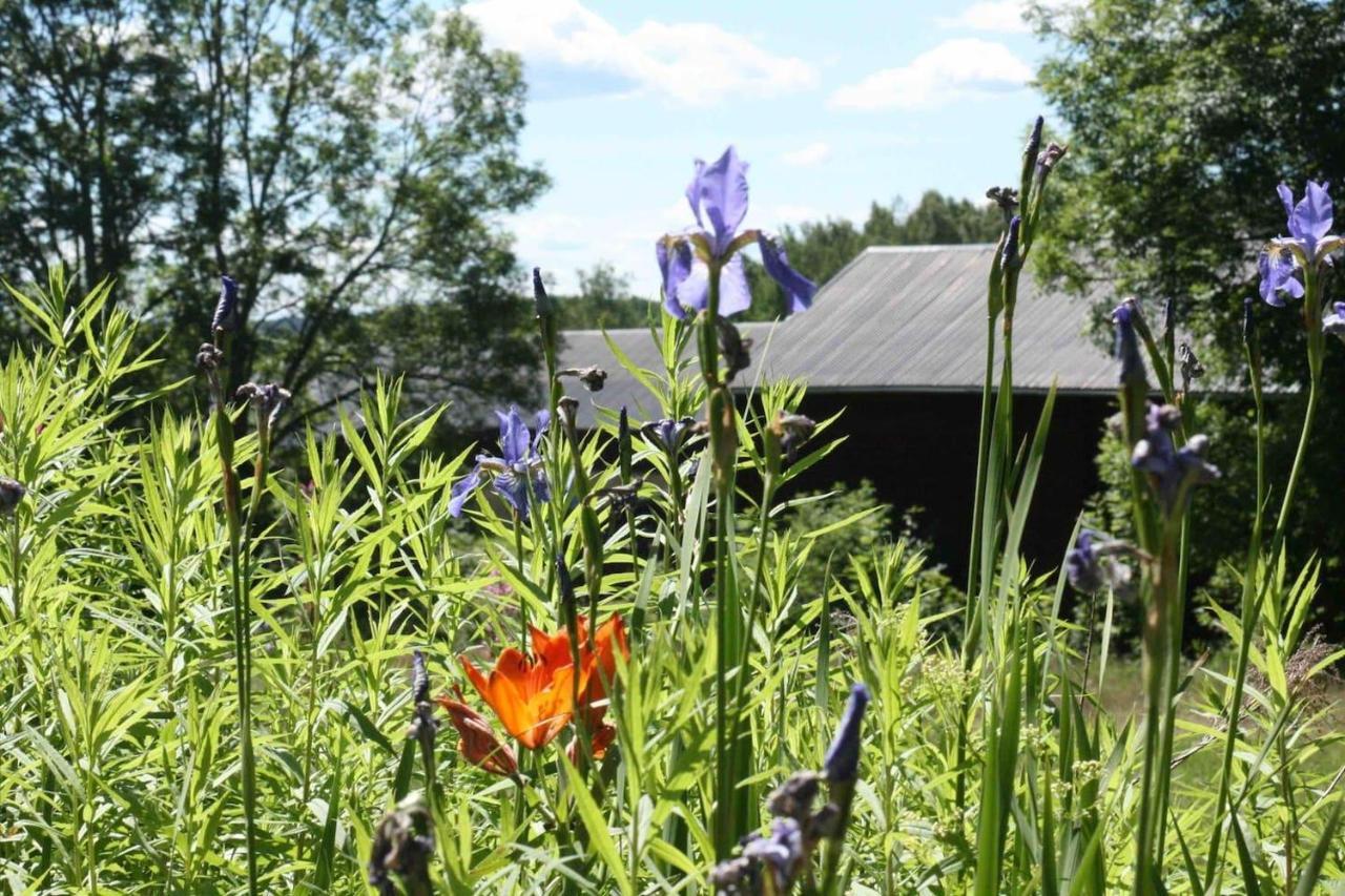 Charming 6 Bedroom House & Horse Farm - Sleeps 12 Horndal Exterior photo